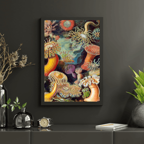 Diamantmalerei - Actiniae