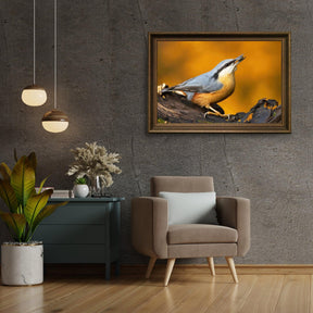 Diamond Painting - Kleiber auf dem Ast - SEOS®