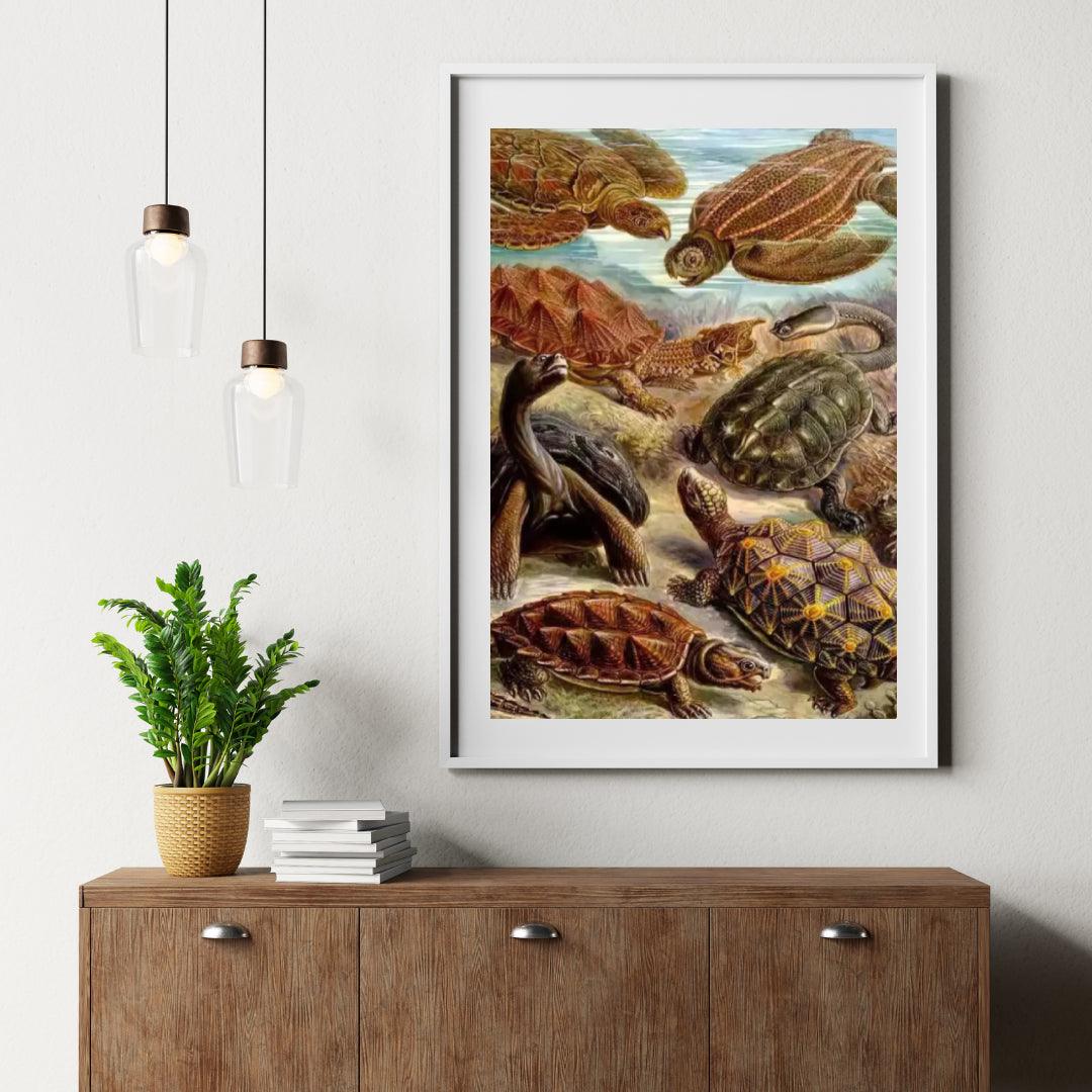 Diamantmalerei - Chelonia