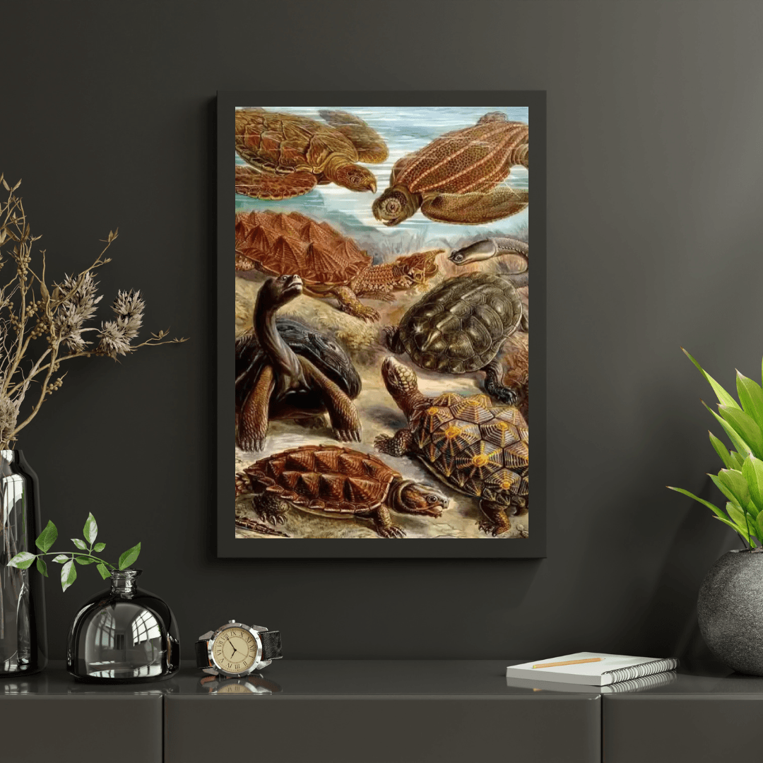 Diamantmalerei - Chelonia