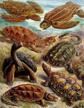 Diamantmalerei - Chelonia