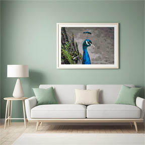 Diamond Painting – Der majestätische Pfau – SEOS®