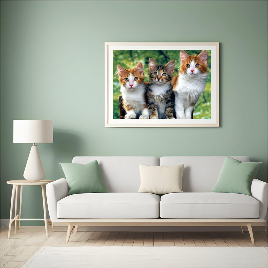 Diamantmalerei - Drei Katzen - SEOS®