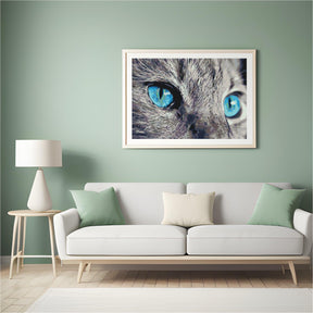 Diamond Painting – Ein durchdringender Blick – SEOS®