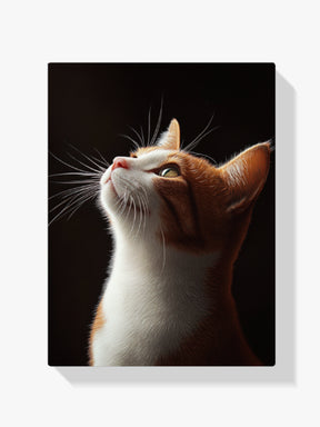 Diamantmalerei - Blickende Katze
