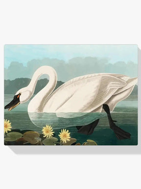 Diamantmalerei - Amerikanischer Schwan