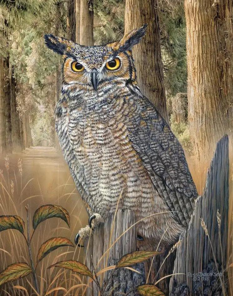 Diamantmalerei - Virginia-Uhu