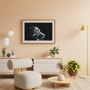 Diamond Painting – Das Aussehen des Hundes – SEOS®