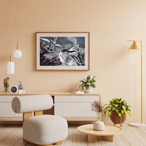 Diamantmalerei – Katze und Vogel – SEOS®