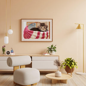 Diamantmalerei - Katze im Korb - SEOS®