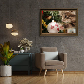 Diamond Painting - Katze mit Weihnachtskugel - SEOS®