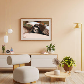 Diamond Painting - Katze unter dem Kissen - SEOS®