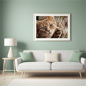 Diamantmalerei - Katze auf dem Zaun - SEOS®