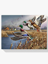 Diamantmalerei - Outback-Wildenten