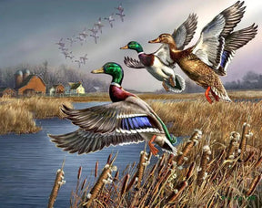 Diamantmalerei - Outback-Wildenten