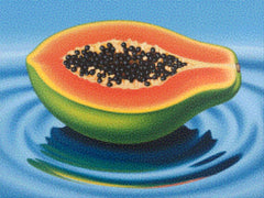 Diamantmalerei - Papaya Mirage