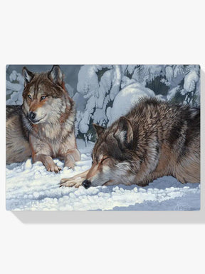 Diamantmalerei – Friedliche Grautöne: Fesselnder Wolf