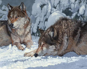 Diamantmalerei – Friedliche Grautöne: Fesselnder Wolf