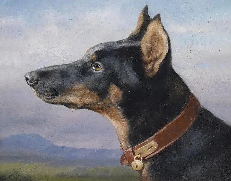 Diamantmalerei - Porträt eines Dobermanns