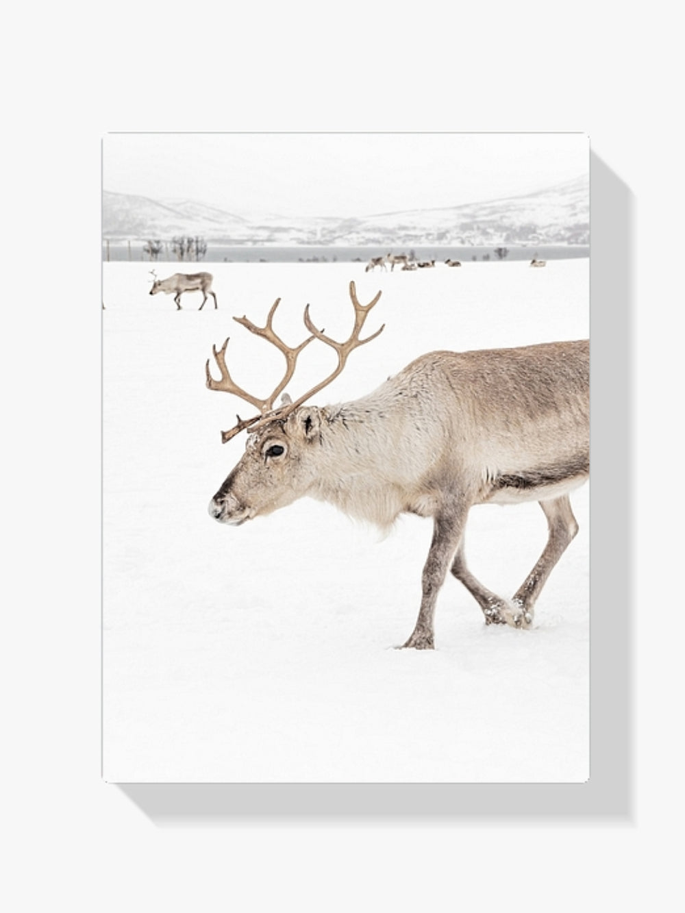 Diamantmalerei - Rentier in einer Winterlandschaft