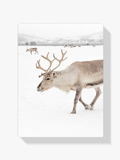 Diamantmalerei - Rentier in einer Winterlandschaft
