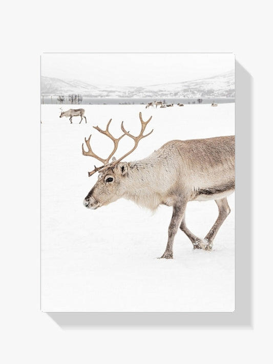 Diamantmalerei - Rentier in einer Winterlandschaft