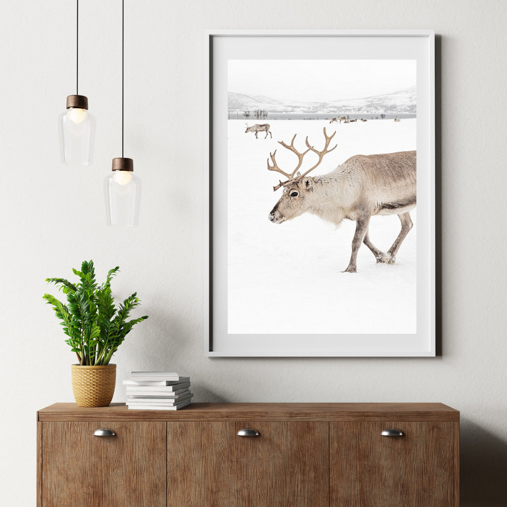 Diamantmalerei - Rentier in einer Winterlandschaft