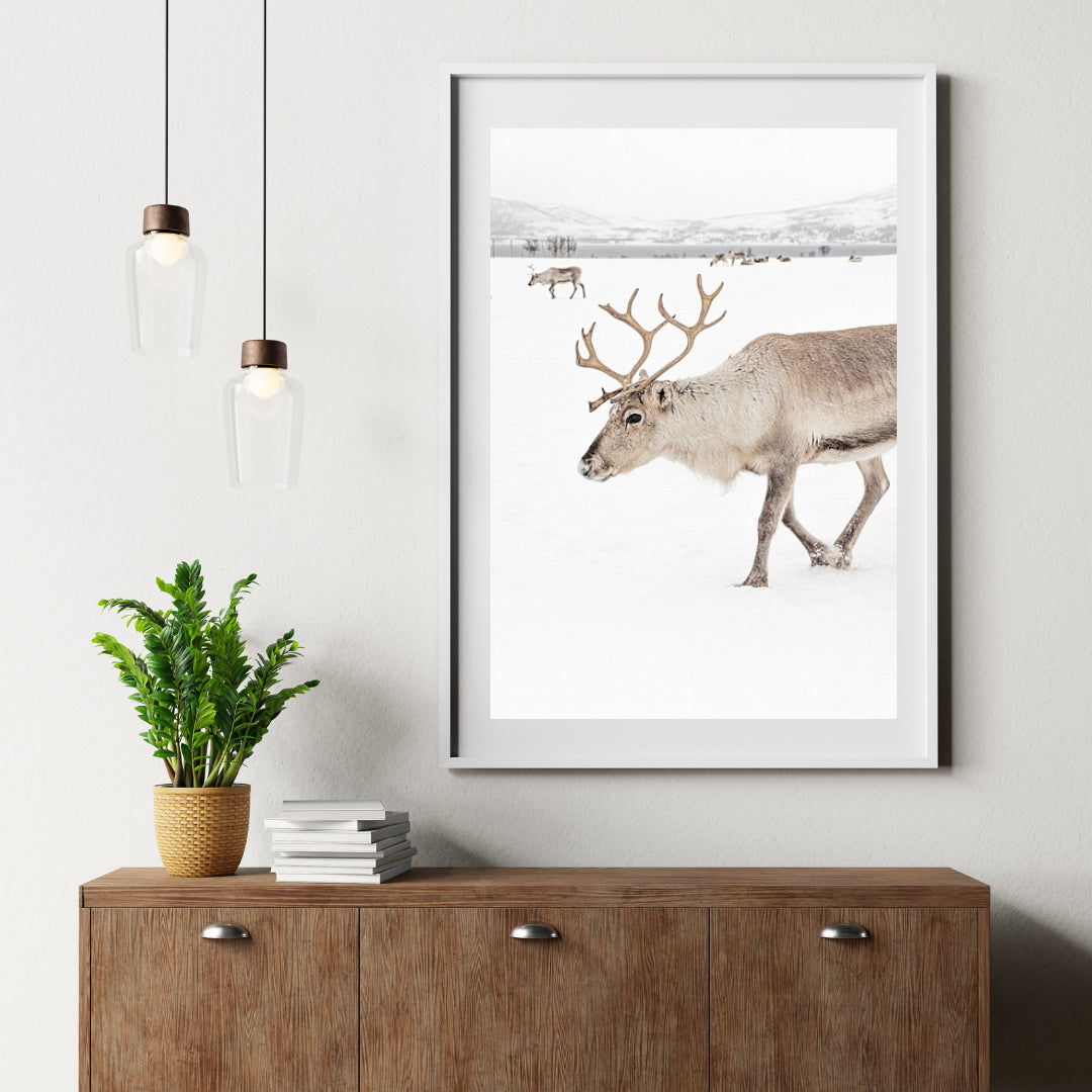 Diamantmalerei - Rentier in einer Winterlandschaft