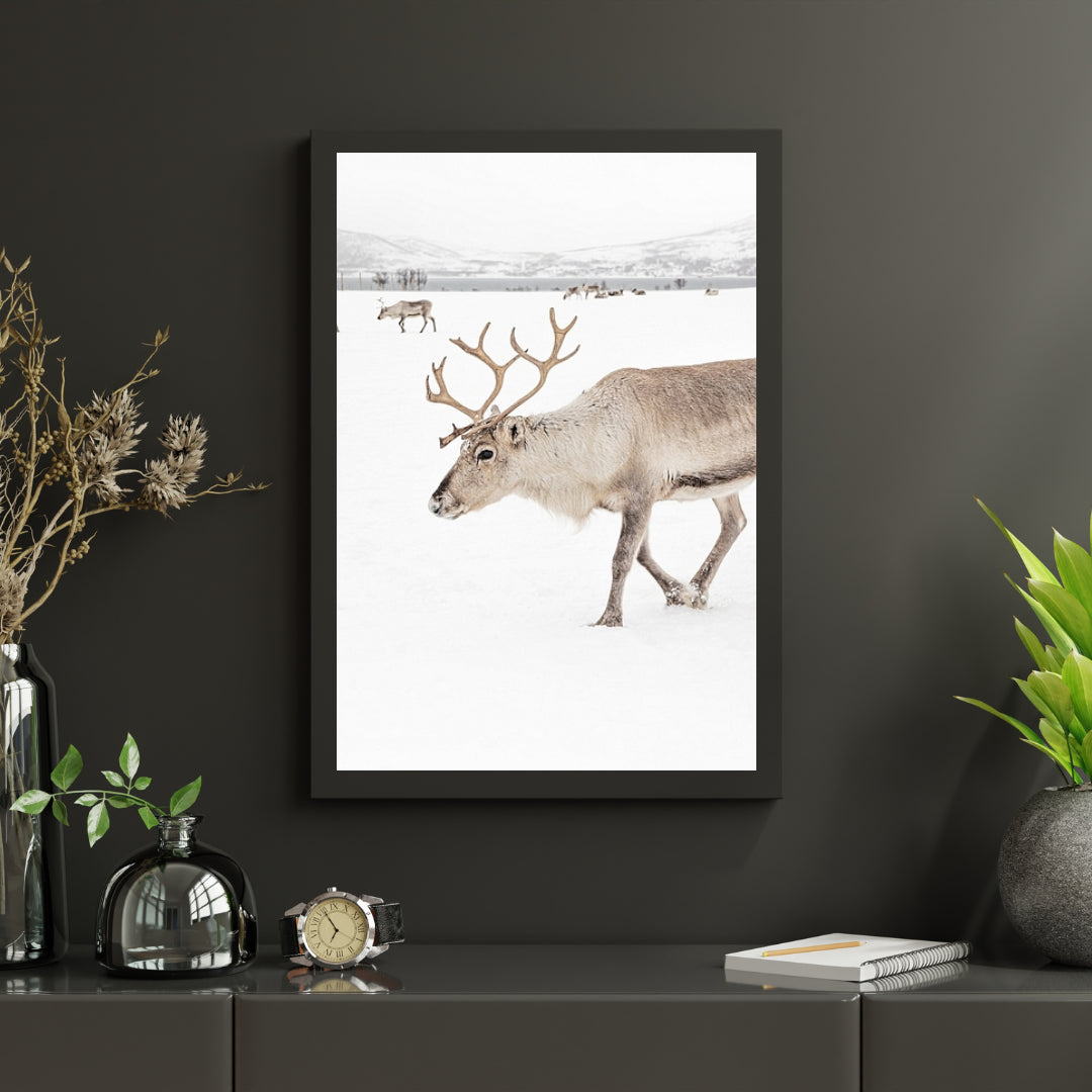 Diamantmalerei - Rentier in einer Winterlandschaft