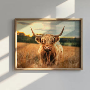 Diamantmalerei - Schottisches Hochlandrind