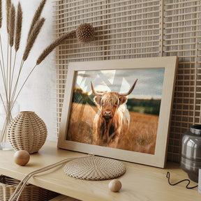 Diamantmalerei - Schottisches Hochlandrind