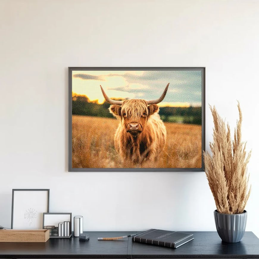 Diamantmalerei - Schottisches Hochlandrind