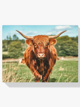 Diamantmalerei - Schottisches Hochlandrind