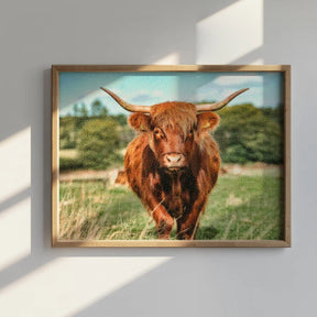 Diamantmalerei - Schottisches Hochlandrind