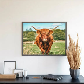 Diamantmalerei - Schottisches Hochlandrind