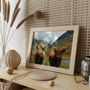 Diamantmalerei - Schottisches Hochlandrind