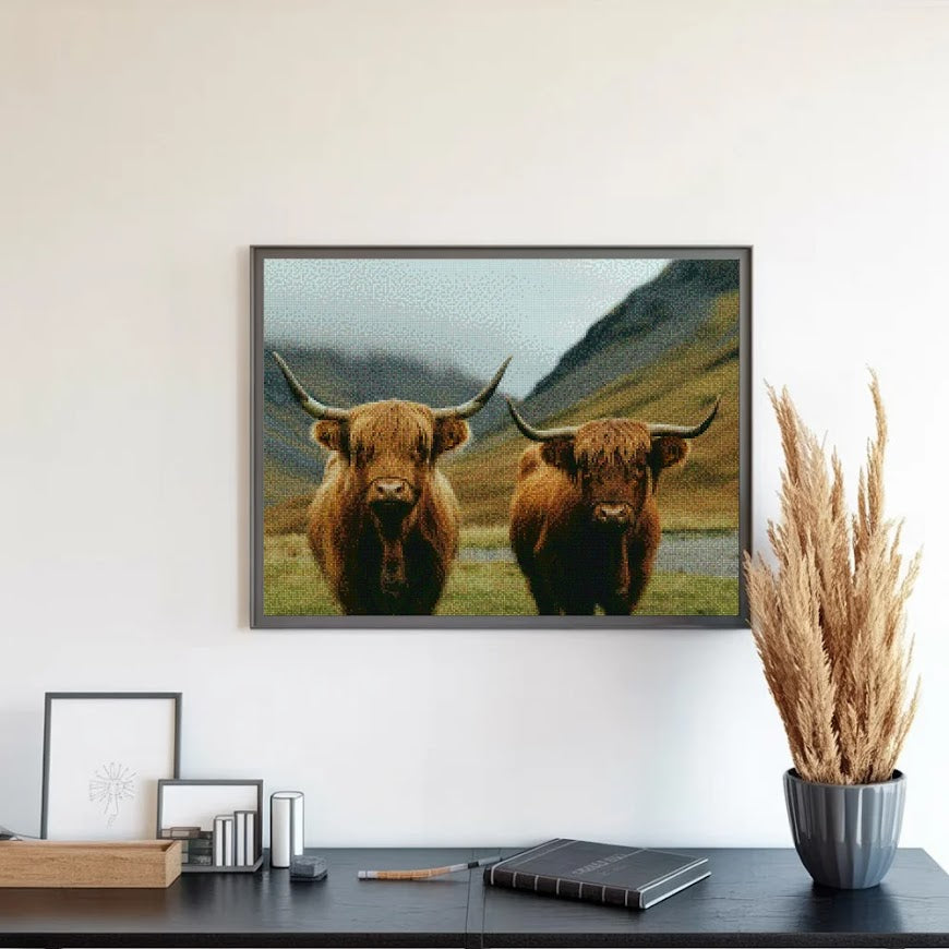 Diamantmalerei - Schottisches Hochlandrind