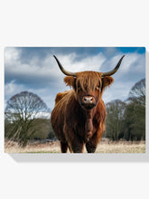 Diamantmalerei - Schottisches Hochlandrind