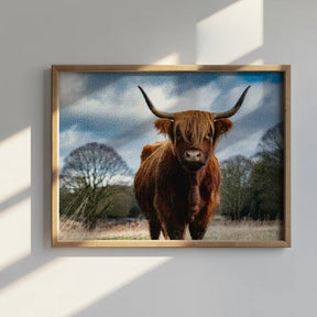 Diamantmalerei - Schottisches Hochlandrind