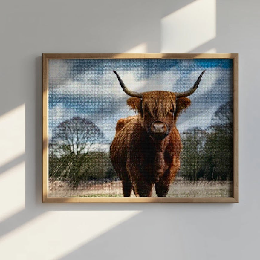 Diamantmalerei - Schottisches Hochlandrind