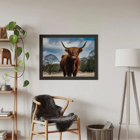 Diamantmalerei - Schottisches Hochlandrind