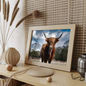 Diamantmalerei - Schottisches Hochlandrind