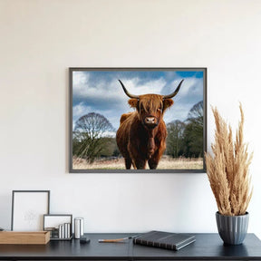 Diamantmalerei - Schottisches Hochlandrind