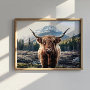 Diamantmalerei - Schottisches Hochlandrind