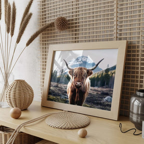 Diamantmalerei - Schottisches Hochlandrind