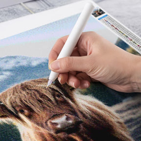 Diamantmalerei - Schottisches Hochlandrind