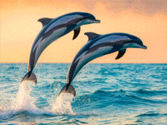 Diamantmalerei – Anmutiges Delfinduo springt aus dem Meer V1