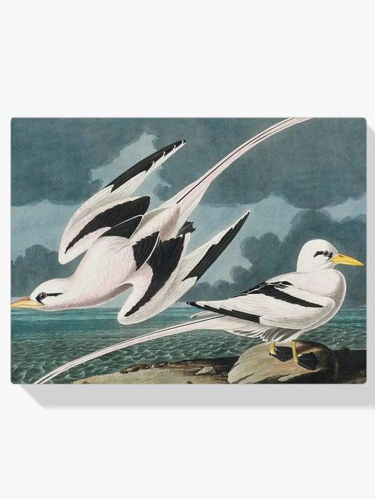 Diamantmalerei - Tropischer Vogel