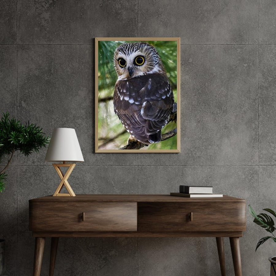 Diamantmalerei Eule mit gelben Augen - SEOS Shop ®