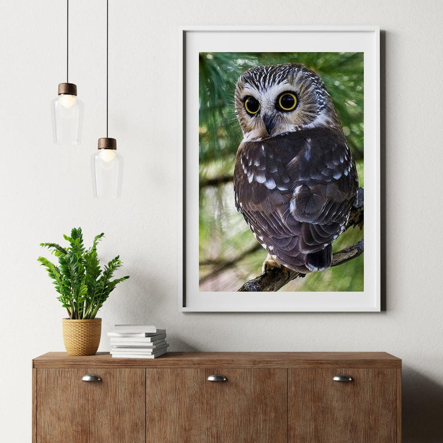 Diamantmalerei Eule mit gelben Augen - SEOS Shop ®